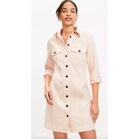 LOFT Dresses & Skirts - NEW ANN TAYLOR LOFT PINK SEAMED DENIM MINI POCKET DRESS SZ 8P 8 PETITE